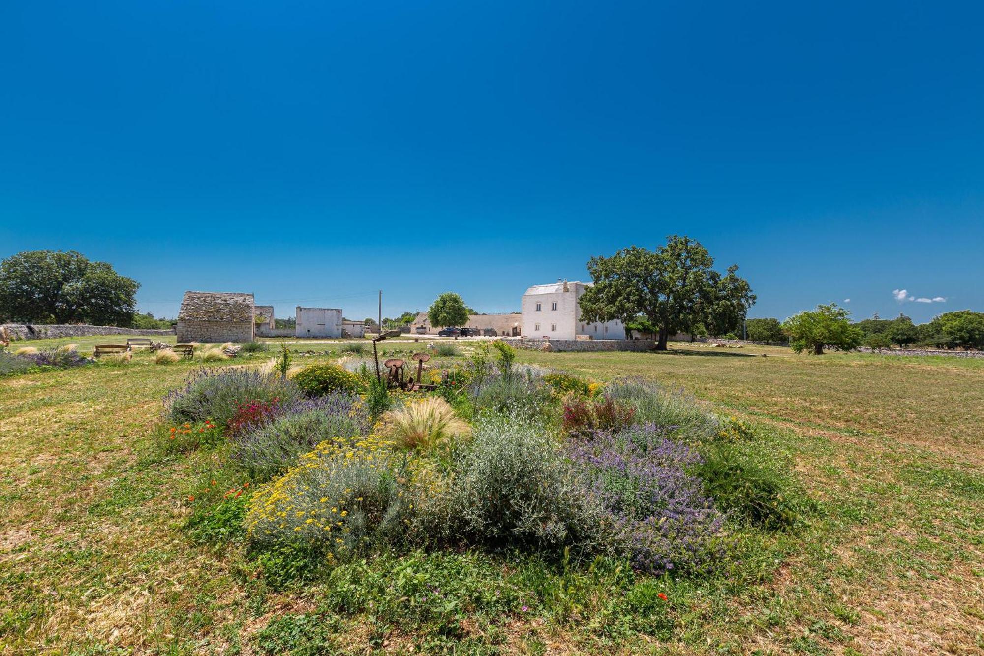 Masseria Nicola Casavola Мартина-Франка Экстерьер фото